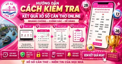 How to Check Can Tho Lottery Results Online